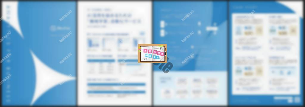 Sky Fox/スカイフォックス サービスリーフレット